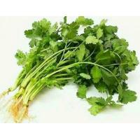 香菜/把(约50g)